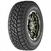 Discoverer ST Maxx