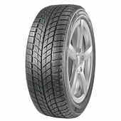 DoubleStar DW09 255/50 R20 109H